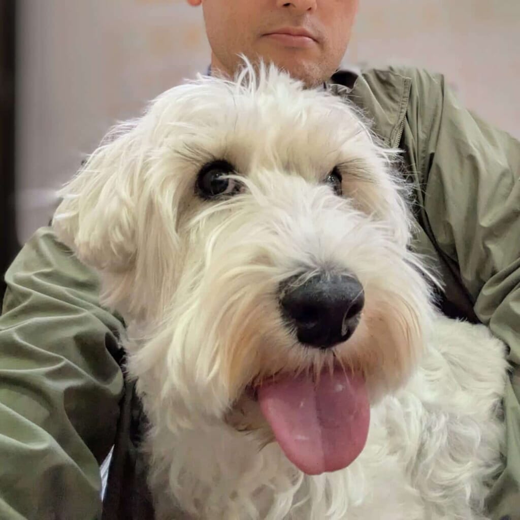 写真 病院でパパに抱っこされた犬のアンナ